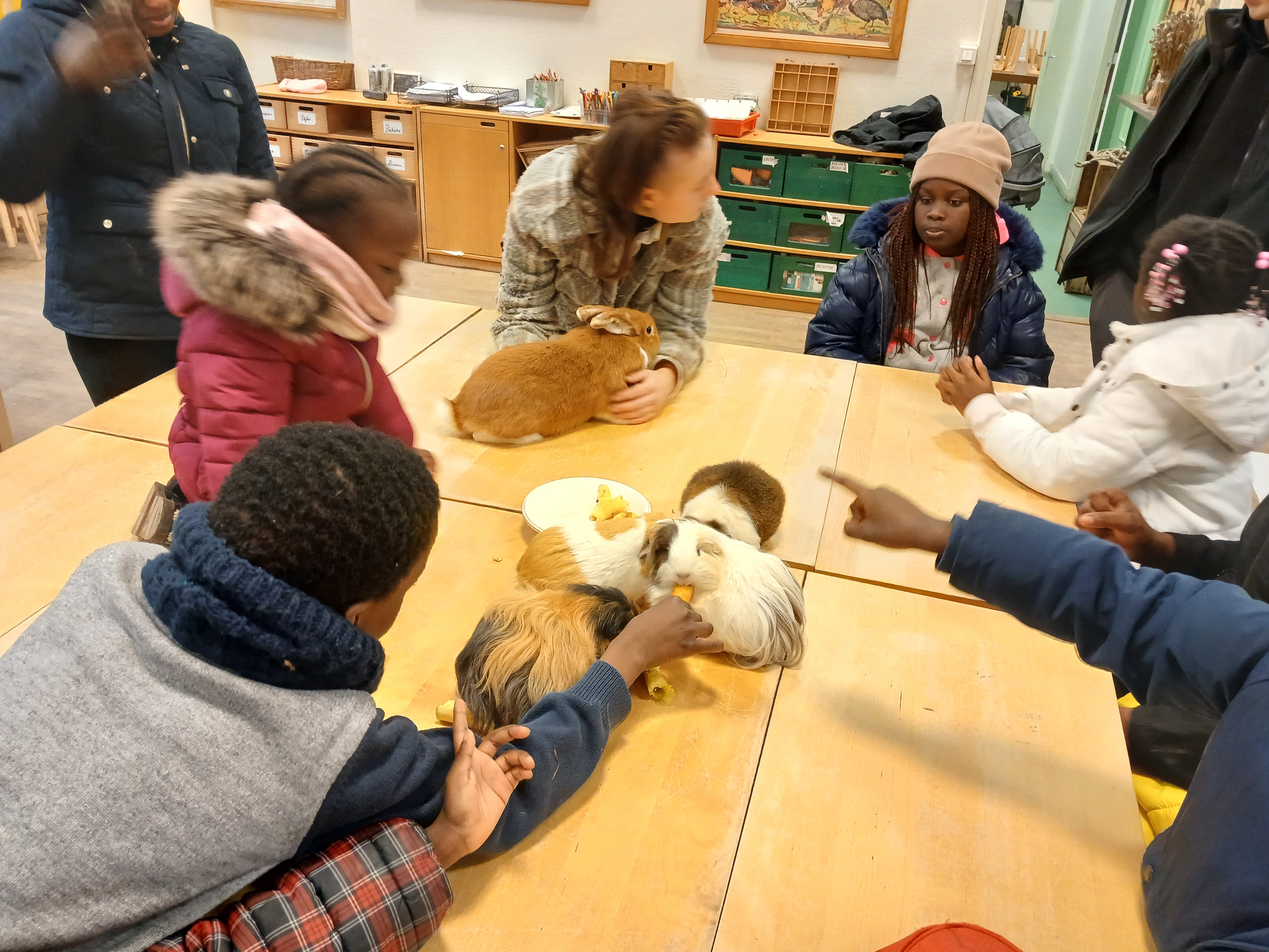 Découvrir la nature et créer des étoiles de Noël en famille, la diversité des ateliers Corot  fédère bénévoles et personnes accompagnées